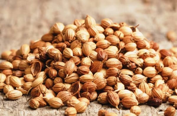 تصویر 4 از فروش تخم گشنیز سبز + قیمت خرید به صرفه